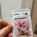 다이소 🌸봉숭아빛 물들이기🌸구매후기