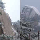 갈멜산기도동산