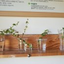 토요미술 이미지