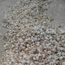 남해황토가 이미지