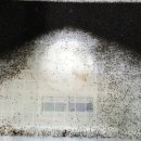 자동차주치의 닥터윤 이미지