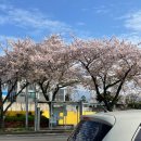 서윤의숲길 이미지