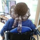 엄마가 만드는 그림책 이미지