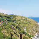 천대국치길 이미지