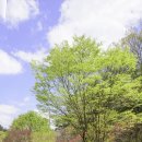 입곡문화공원 이미지