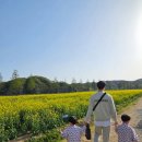 낙동강변로3-1 이미지