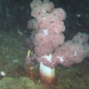 남해-292 이미지