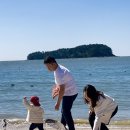 더 대천 스토리 이미지