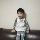 드웰(Dwell) | 34평 아파트 거실 소파 고민이라면? 다우닝 드웰 트리에 코너형 쇼파 후기