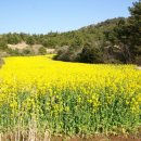 용수충혼묘지 이미지