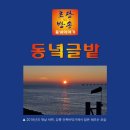 [동녘글밭] 06월 15(금) '강릉 민주당, 깨춤을 추더니' 이미지