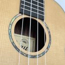 우쿨렐레 연주 이미지