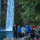 천지연 폭포 이미지