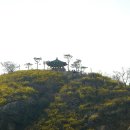 [취소][4월5일/토]서달산 벚꽃-달맞이공원 개나리 트래킹 이미지