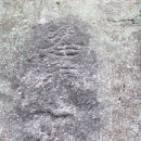 영주강동리마애보살입상 이미지