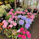 초록나라식물원 이미지