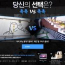 촉촉아트