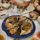 파도리치