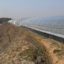 시흥1차에이스아파트(에이스1차) 이미지