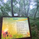 건강생활거제지점 | 거제가라산에서노자산까지 거제11대명산 등린이 6시간후기