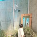 별서담 이미지