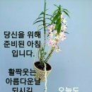 정(情) 이미지