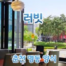 춘천시청 | 춘천 명동 양식 러빗 춘천시청 양식 내돈내산 솔직후기