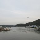 가배항2 이미지