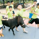 노송목장 이미지