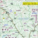 신금강