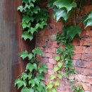 정성을다하는약국 이미지