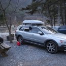 명당옥수 이미지