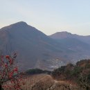 환주농장 Daum카페