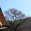 구례 이미지