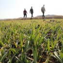 경향농장 이미지