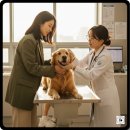 동백동물병원 | 동백동물병원 검토 후 선택하는 팁