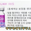 트랜디카안경원 - 부평구 주부토로 260 | 트랜디카안경원