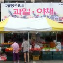 신거북시장(5) 이미지