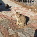 GS25 영덕 장사점 이미지