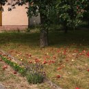 바른 행정사 이미지