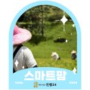 스마트행정사법인 이미지