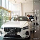 태영모터스 볼보 서대구서비스센터 | XC60 군더더기 없는 패밀리 SUV 대구 볼보 전시장 방문