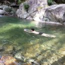 성불산장앞 이미지