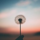 (주)탑코리아모터스 네이버블로그