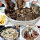 스테이동백 이미지