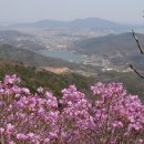 고려산 이미지
