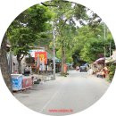 암가세천2 | 전북여행-변산국립공원 내소사의 전나무숲길 과 단풍나무숲길을 함께 걸어보실까요?