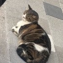 화신여관 | [목포] 1박2일 여행 / 맛집 숙소 코스 추천