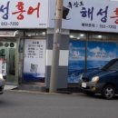 해성홍어 이미지