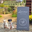 애견 운동장 용인 라리마정원 위드펫 반려견놀이터
